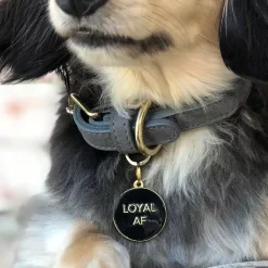 Loyal AF ID Tag (Custom/Drop-Ship)