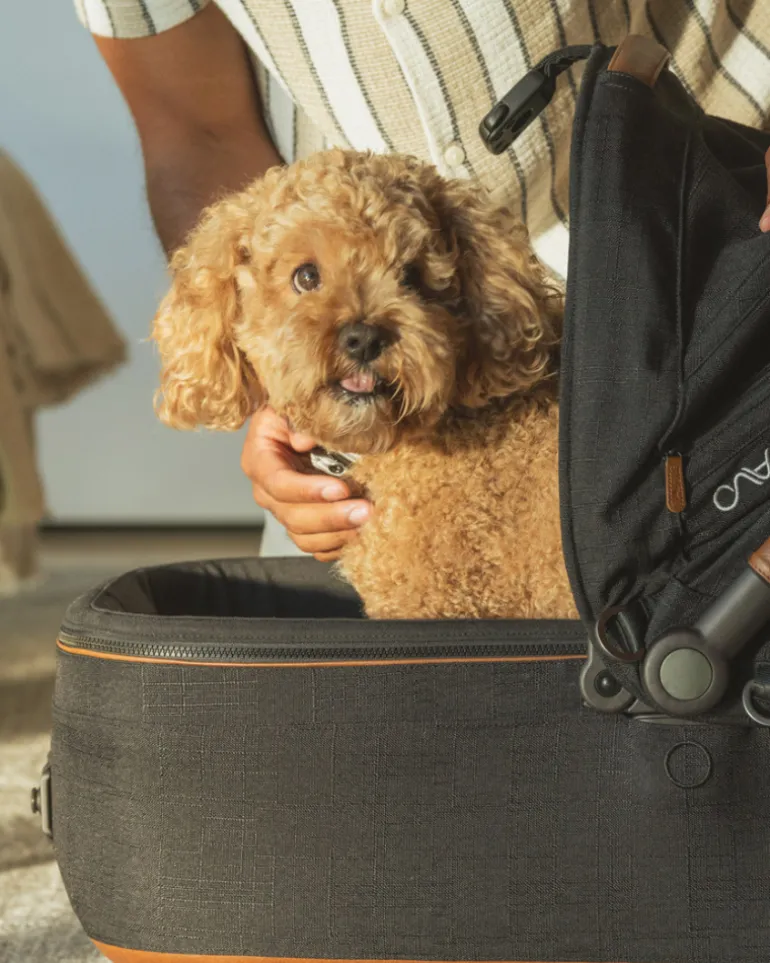 Maeve™ + Roscoe™ 3-in-1 Pet Stroller & Car Seat
