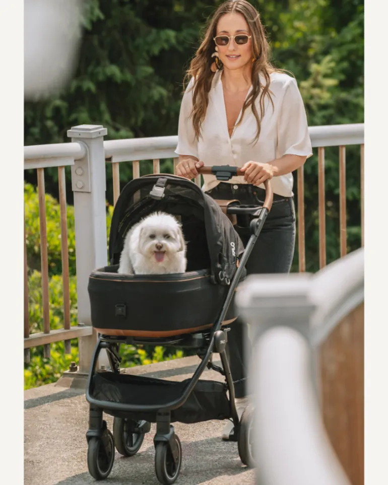 Maeve™ + Roscoe™ 3-in-1 Pet Stroller & Car Seat