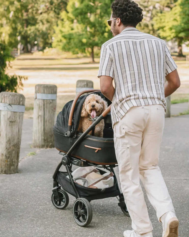 Maeve™ + Roscoe™ 3-in-1 Pet Stroller & Car Seat