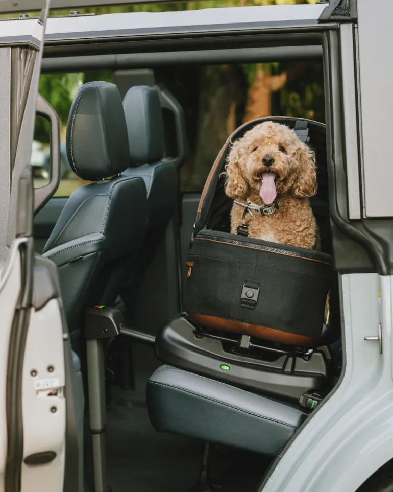 Maeve™ + Roscoe™ 3-in-1 Pet Stroller & Car Seat