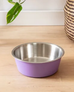 Malmo Stainless-Steel Pet Bowl in Lavender