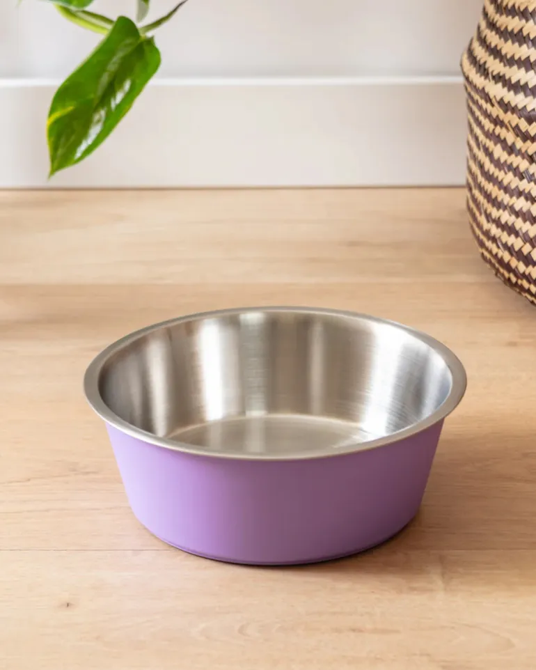 Malmo Stainless-Steel Pet Bowl in Lavender