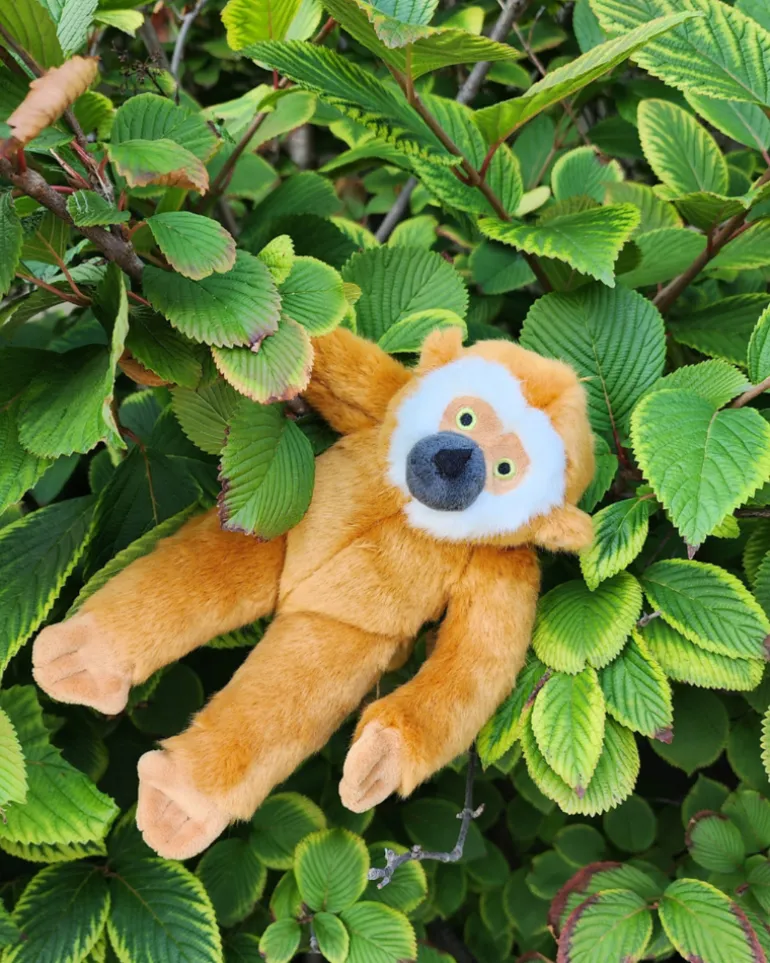 Marcel the Monkey Plush Squeaky Dog Toy