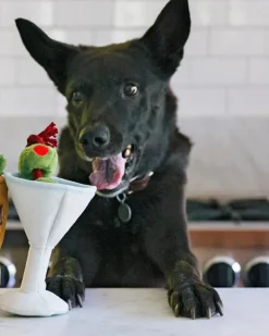 Martini Pawtini Squeaky Plush Dog Toy