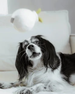 Mini Garlic Enrichment Dog Toy