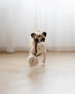 Momo Peaches Snuffle Interactive Dog Toy