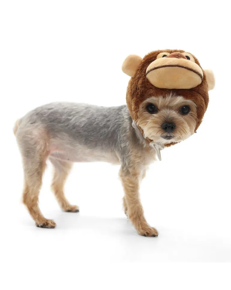 Monkey Dog Hat (FINAL SALE)