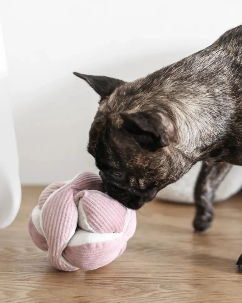 Monti Snuffle Ball Dog Toy