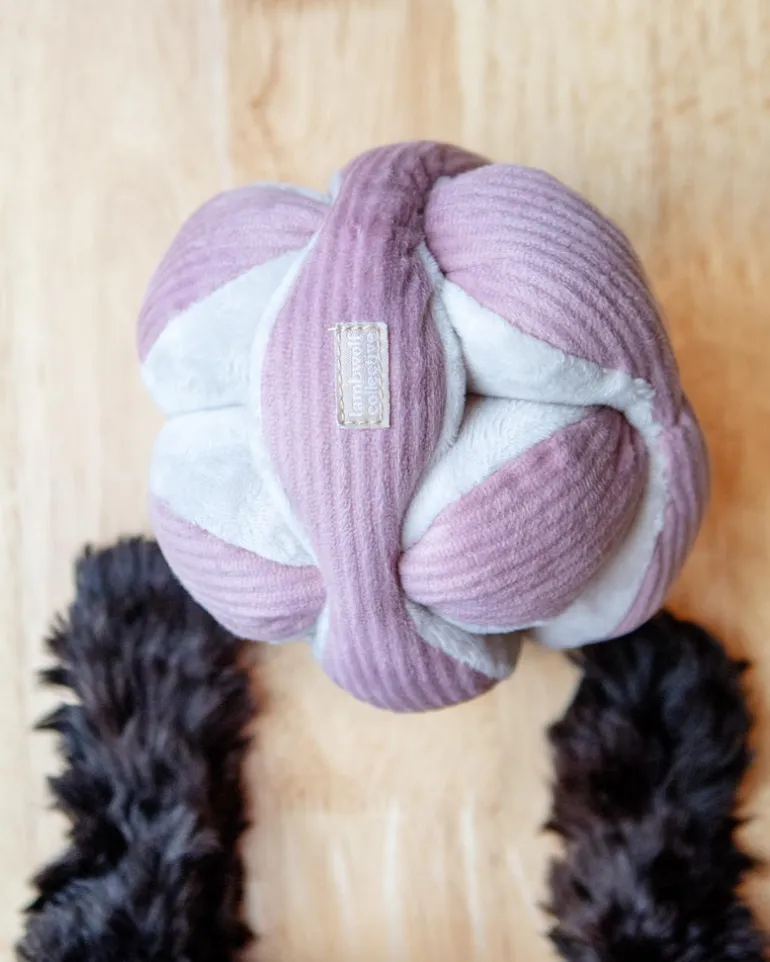 Monti Snuffle Ball Dog Toy