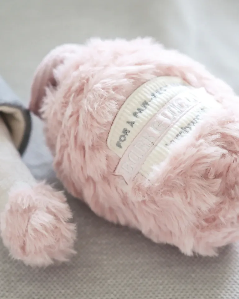 Nail Polish Burrow + Crinkle Dog Toy