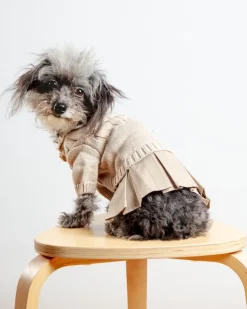 Naturalia Knit + Trench Dog Dress