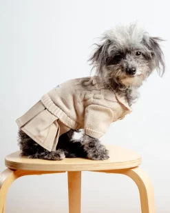 Naturalia Knit + Trench Dog Dress
