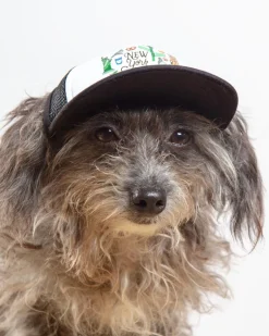 New York City Pet Trucker Hat (DOG & CO. EXCLUSIVE)