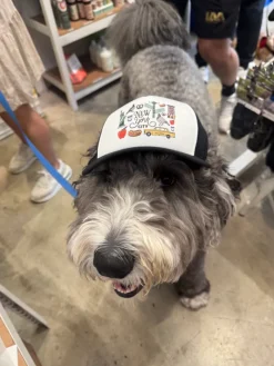 New York City Pet Trucker Hat (DOG & CO. EXCLUSIVE)