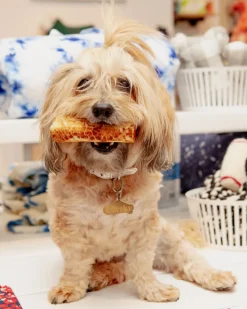 No-Hide Wholesome Dog Chew in Peanut Butter