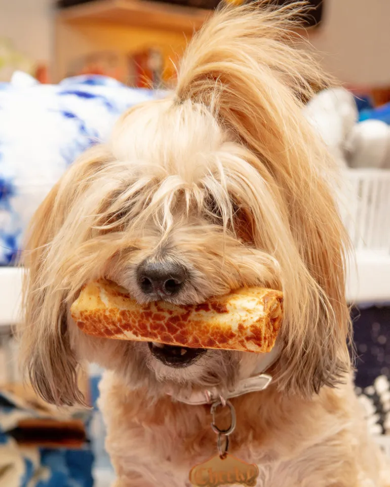 No-Hide Wholesome Dog Chew in Peanut Butter