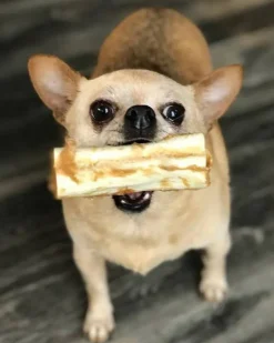 No-Hide Wholesome Dog Chew in Peanut Butter