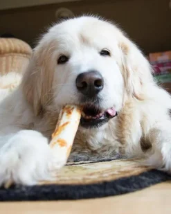 No-Hide Wholesome Dog Chew in Peanut Butter
