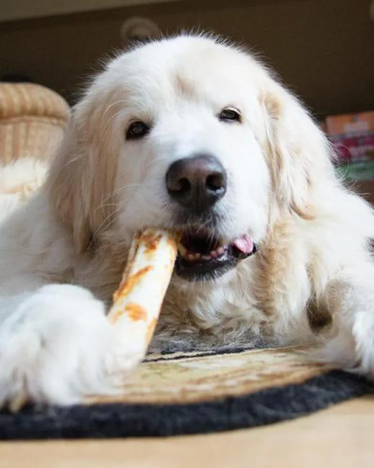 No-Hide Wholesome Dog Chew in Peanut Butter