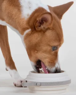 Nomad Collapsible Dog Bowl in Sand