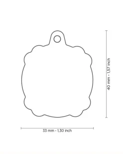 (Not So Scary) Skull Custom Pet ID Tag