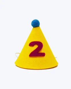 Numbered Pawty Hat (Made in the USA)