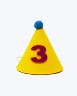 Numbered Pawty Hat (Made in the USA)