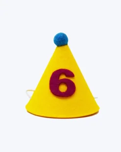 Numbered Pawty Hat (Made in the USA)