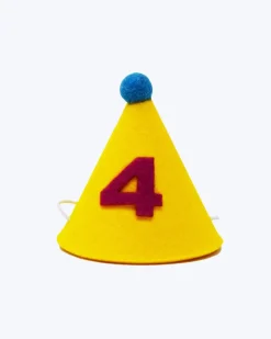Numbered Pawty Hat (Made in the USA)