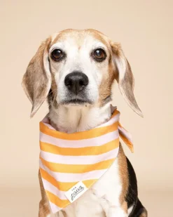 Nusa Striped Dog Bandana (FINAL SALE)