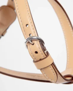 Nuvola Leather Dog Harness in Vanilla (Made in Italy)