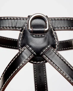Nuvola Leather Dog Harness in Black (Made in Italy)