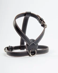 Nuvola Leather Dog Harness in Black (Made in Italy)