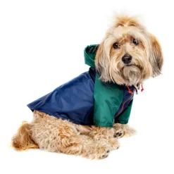 Nylon Colorblock Dog Rainbreaker in Hunter Green & Navy (Exclusive to DOG & CO.)