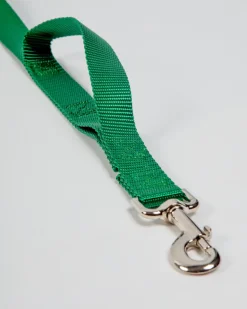 Nylon Dog Leash in Hunter Green (Made in the USA)