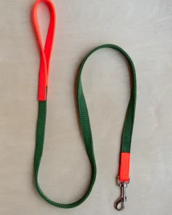 Nylon Dog Leash in Navy & Neon Pink (Made in the USA)