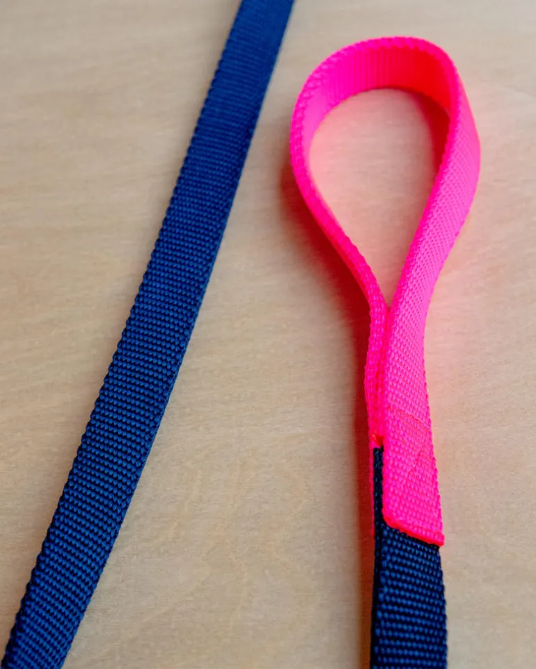Nylon Dog Leash in Navy & Neon Pink (Made in the USA)