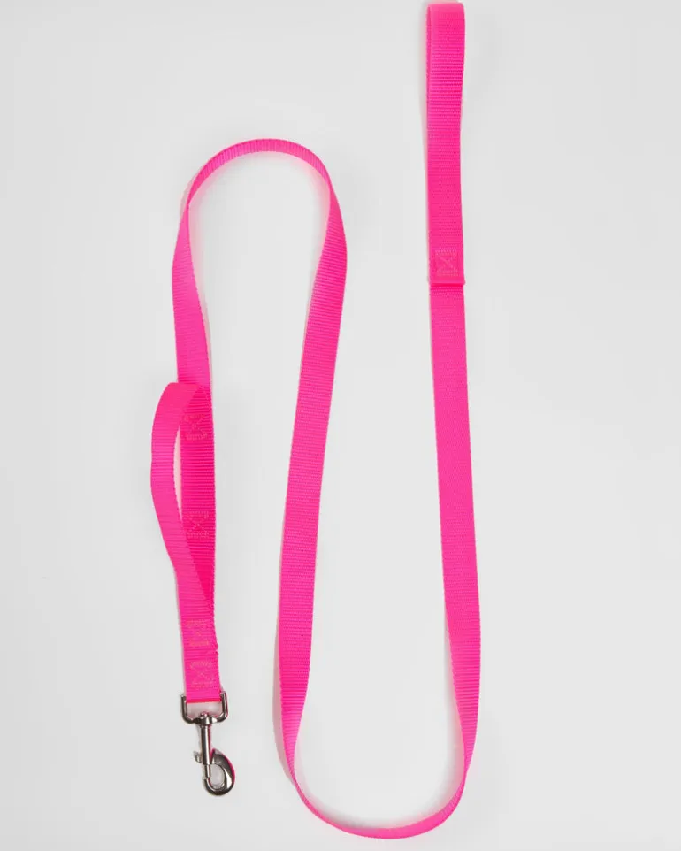 Nylon Dog Leash in Neon Pink (Made in the USA)