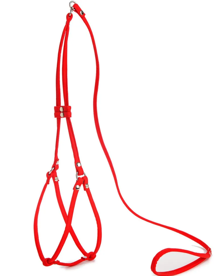Nylon Step-In Adjustable Dog Harness in Red (Made in the USA)
