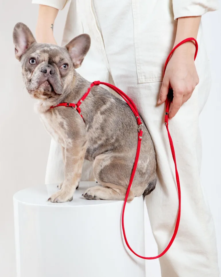 Nylon Step-In Adjustable Dog Harness in Red (Made in the USA)