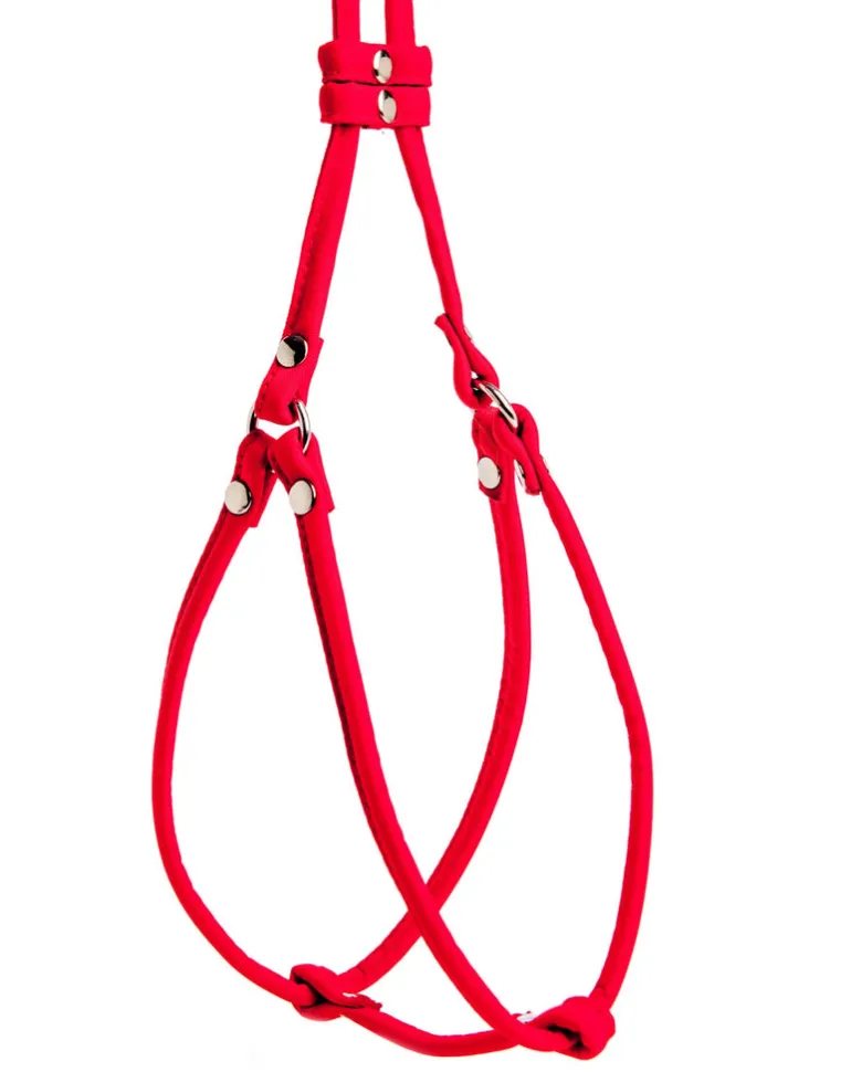 Nylon Step-In Adjustable Dog Harness in Red (Made in the USA)