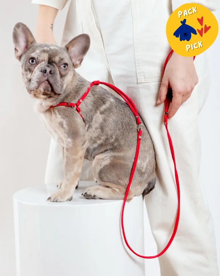 Nylon Step-In Adjustable Dog Harness in Red (Made in the USA)