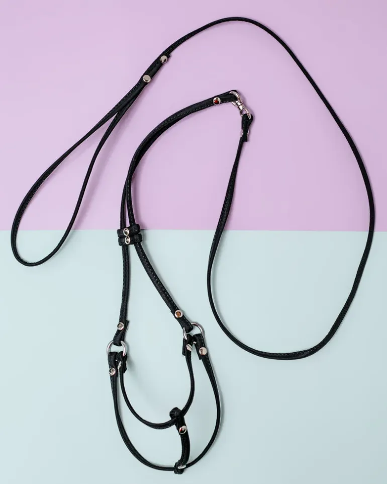 Nylon Step-In Adjustable Dog Harness in Black (Made in the USA)