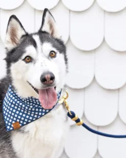 Ocean Marine Rope Dog Leash (Made in the USA)
