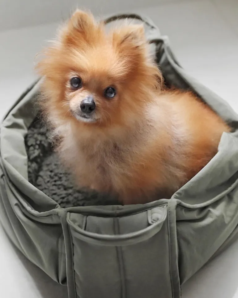 Olla Petite Pet Crossbody Bag