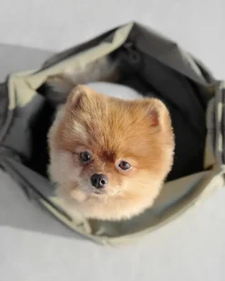 Olla Petite Pet Crossbody Bag