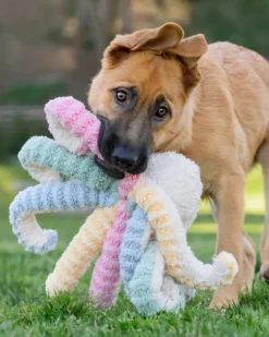 Opal the Octopus Squeaky and Crinkle Dog Toy