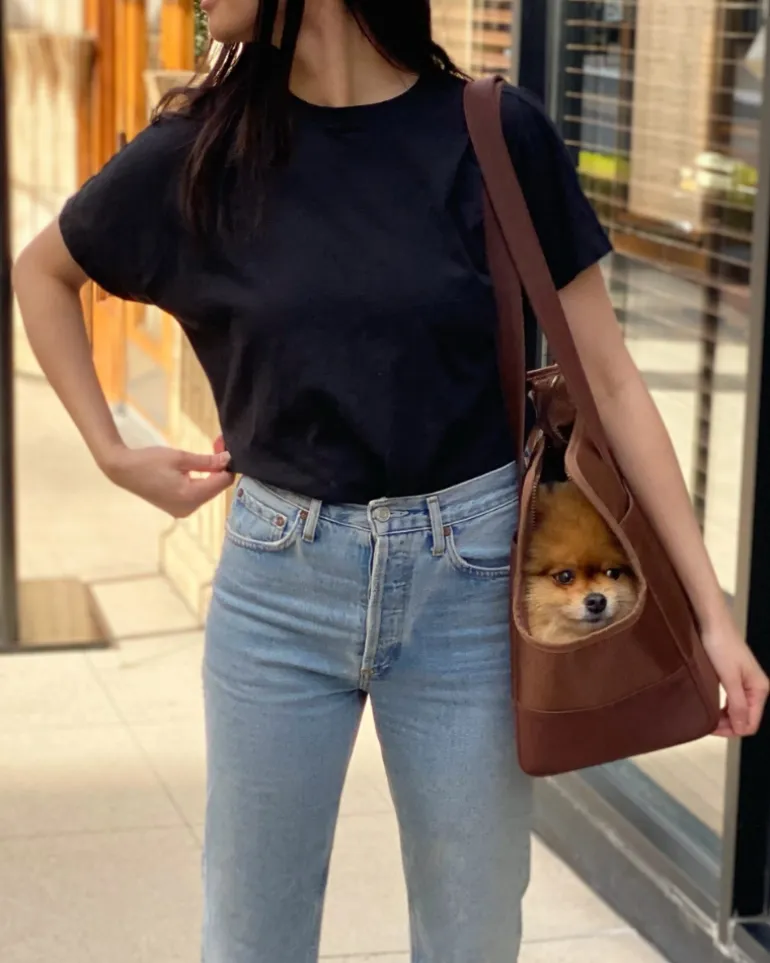Open or Enclosed Pet Tote Bag