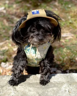 Outside+ Cooling Bucket Hat in Tan